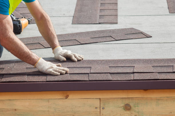 Best Gutter Installation and Repair  in Immokalee, FL